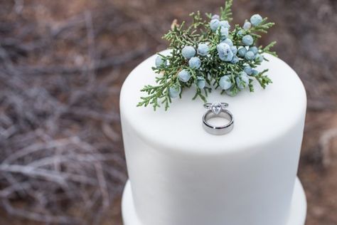 Juniper Wedding Decorations, Juniper Centerpiece, Wedding Themed Cocktails, Juniper Wedding, Nice Rings, Winter Wedding Centerpieces, Styled Photoshoot, Beauty Cakes, Second Wedding