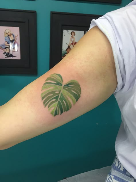 Monstera tattoo #monstera #leaftattoos #leaf #color #tattoo #minimalist Monstera Tattoo Color, Monstera Tattoo Thigh, Houseplant Tattoos, Monstera Tattoos Leaves, Green Leaf Tattoo, Monstera Deliciosa Tattoo, Monstera Tattoo Design, Plant Sleeve Tattoo, Monstera Leaf Tattoo