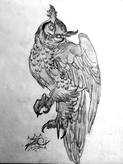 Serious Drawing, Tattoo Tv Shows, Owl Sketch, Ghost Tattoo, Bird Sketch, Traditional Tattoo Design, Owls Drawing, Sleeve Tattoos For Women, Dragon Artwork