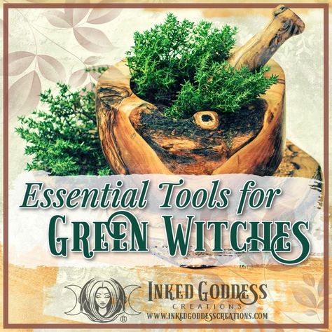 Witch Tools List, Herb Magick, Green Witchery, Witchcraft Herbs, Witch Tools, Witch Supplies, Nature Witch, Witch Room, Spells For Beginners