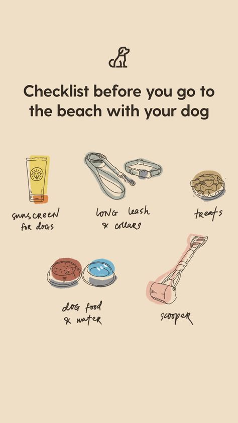 Beach With Dog, Beach Checklist, Beach Bag Essentials, Beach Dog, Sun Dogs, First Things First, Pet Wellness, Going To The Beach, Bag Essentials