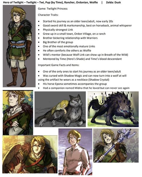 Twilight Princess Characters, Link Twilight Princess, Linked Universe, Character Guide, Botw Zelda, Legend Of Zelda Memes, Zelda Funny, Link Art, Link Zelda