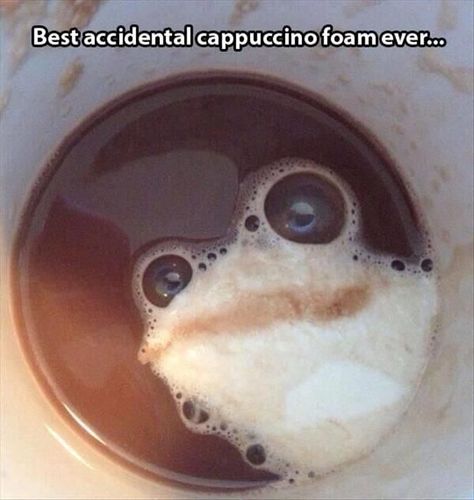 Funny Pictures which Delivers a Laugh Instantly Makes Me Laugh, Ha Ha, Frogs, Make Me Smile, Funny Things, Coffee Cup, Funny Stuff, Funny Pictures, Random Stuff