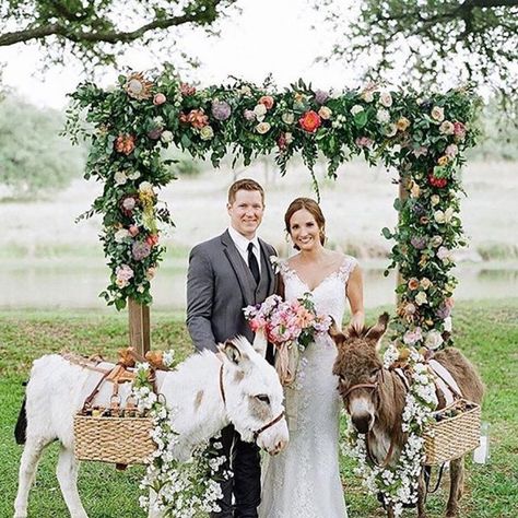 Scenic Wedding Venues, Scenic Wedding, Mini Donkey, Beer Wedding, Horse Wedding, Pony Party, Event Planning Company, Cute Wedding Ideas, Wedding Rehearsal