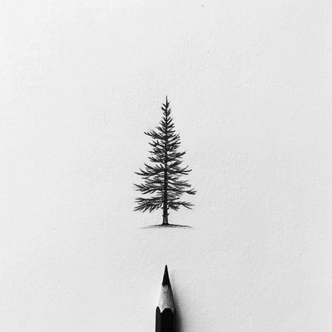 Pine Tattoo Design, Wa State Tattoo, Tree Stencil Tattoo, Tree And Birds Tattoo, Fir Tree Tattoos, Tree Tattoo Sketch, Fine Line Pine Tree Tattoo, Nerve Tattoo, Nature Drawing Simple