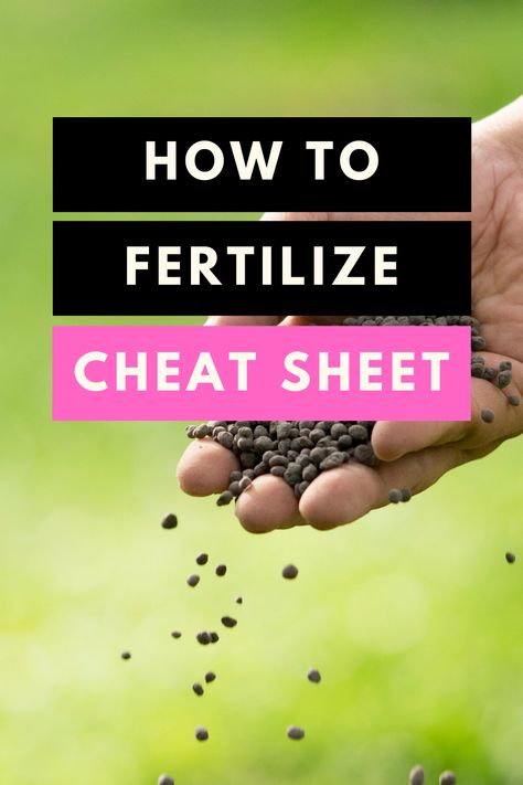 How to Fertilize - Cheat Sheet on how to fertilize your plants and what fertilizer to use. All about NPK and more. Read the Article #plantcare #gardening #plantophiles How To Fertilize Garden, Plant Fertilizer Guide, Chicken Fertilizer, Garden Fertilizers, Npk Fertilizer, Flower Fertilizer, Popular Plants, Tropical Orchid, Food Plot