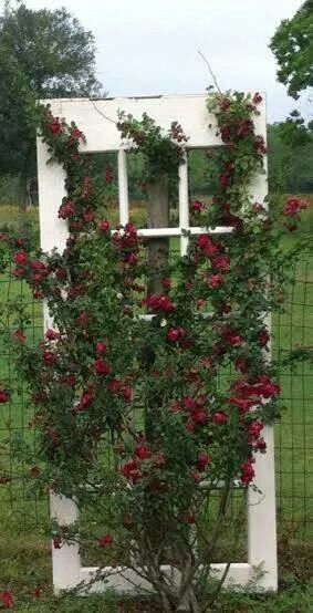 Door trellis love this Door Trellis, Yard Door, Diy Arbour, Yard Privacy, House Yard, Yard Lights, Old Door, Yard Work, Old Doors