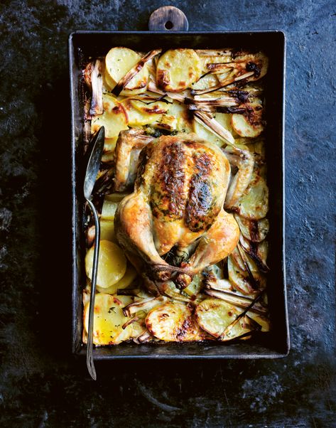 Knoflookkip Potato Leek Gratin, Leek Gratin, Roasted Garlic Recipe, Donna Hay Recipes, Roast Garlic, Roasted Garlic Chicken, Roasted Tomato Sauce, Donna Hay, Quick And Easy Dinner