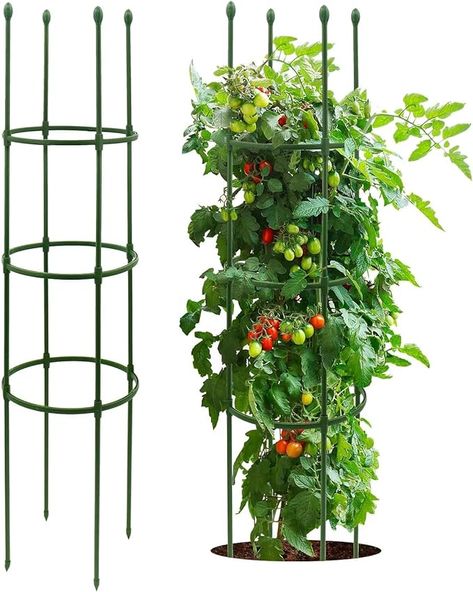 Amazon.com : Growsun Tomato Cage for Garden Upto 55 inch Flexible Plant Stake Planter Climbing Trellis Supports, Twist Ties Include, 3 Pack : Patio, Lawn & Garden Climbing Trellis, Tomato Cages, Lawn Garden, Tomatoes, Climbing, Lawn, Twist, Patio, Plants