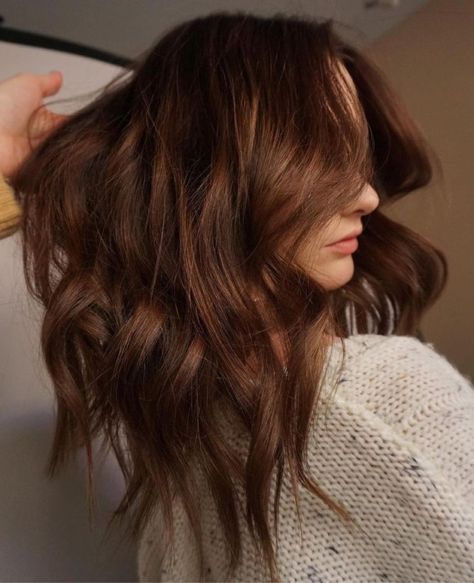 Chocolate Brown Hair Fair Skin, Summer 2024 Hair Color Trends Brunette, Cinnamon Brown Hair, Warm Brown Hair Color, Brown Auburn Hair, Cinnamon Hair Colors, Brown Hair Color Shades, Natural Brown Hair, Warm Brown Hair