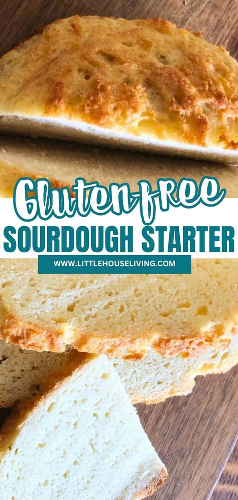 Learn how to make gluten-free sourdough starter with this easy guide. Perfect for those with dietary restrictions, this homemade starter uses gluten-free flour to create delicious bread without gluten. Discover tips for maintaining your starter and enjoy baking gluten-free sourdough bread at home. Gf French Bread, Homemade Gluten Free Bread Easy, Almond Flour Sourdough Starter, Sourdough Gluten Free Bread, Gluten Free Bread Flour, Gluten Free Sourdough Starter, Gluten Free Sourdough Bread, Bread At Home, Gluten Free Sourdough