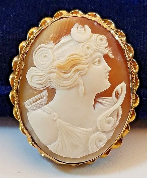 Victorian Carved Shell Lovely Lady Cameo Pin Brooch Pendant in 10K Braided Frame Carved Shell, Pin Brooch, Hallmark, Brooch Pin, Vintage Ladies, Vintage Jewelry, Jewelry Watches, Shells, Braids