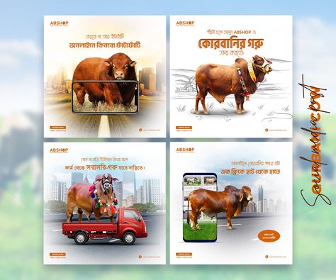 Qurbani Cow social media post | banner | social media ads by Ab Razzak Cow Poster Design, Advertising Poster Design, Cow Shed, Social Media Ads, Graphic Design Cards, Eid Ul Adha, Graphic Design Advertising, Advertising Poster, Creative Ads