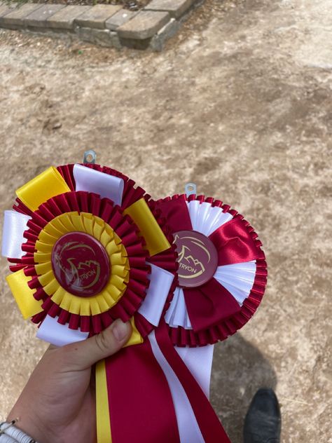 Horse Show Ribbon Ideas, Equestrian Rosette Display, Horse Rosettes, Horse Riding Ribbons Display, Round Pin For Horses, Equestrian Ribbons, Horse Ribbons, Horse Show Ribbons, Burgundy Horse Tack