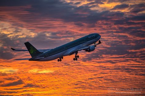 Aer Lingus plane takes off into red sky Plane Take Off, Aer Lingus, Dublin Airport, Photoshop Ideas, Airbus A330, Air India, Ap Art, Red Sky, Morning Wishes