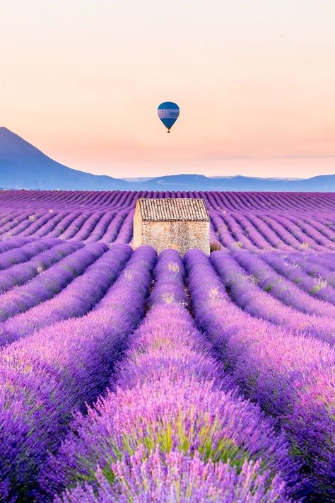 Lavender Fields France, Valley Of Flowers, Lavender Aesthetic, Dream Vacations Destinations, Lavender Fields, Cool Pictures Of Nature, South Of France, Model Photography, Nature Pictures