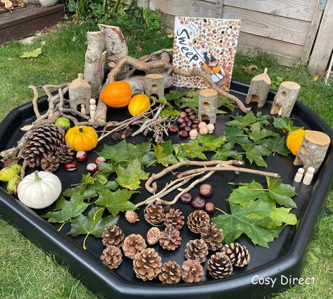 Autumn Small World, Autumn Sensory Tray, Autumn Animals Preschool, Book Area Eyfs, Reggio Emilia Art Projects, Eyfs Autumn, Outdoor Maths, Books Autumn, Eyfs Outdoor Area