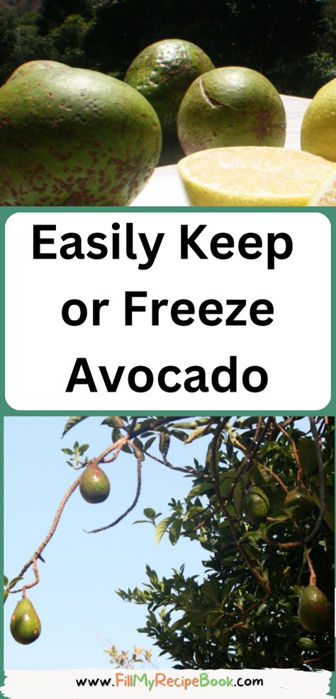 Easily Keep or Freeze Avocado - Fill My Recipe Book Ripe Avocado Recipes, Unripe Avocado, How To Ripen Avocados, Avocado Trees, Freeze Avocado, My Recipe Book, Freezing Fruit, How To Cut Avocado, Breakfast Crepes