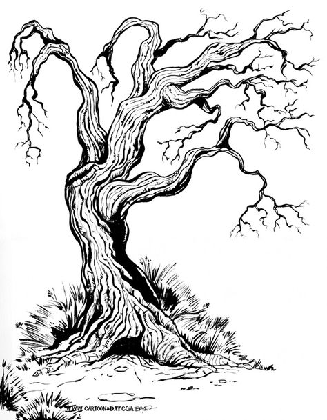 Fantasy Tree Drawing, Gnarly Tree, Tree Drawings, Branch Drawing, Vine Drawing, Pencil Tree, Tree Outline, Petit Tattoo, Tree Drawings Pencil