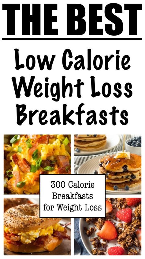 300 Calorie Breakfasts for Weight Loss 300 Calories Breakfast, Low Cal Filling Breakfast, 500 Calorie Breakfast, 300 Calorie Breakfast, Yogurt Breakfast Bowl, Noom Recipes, 500 Calories Recipes, 300 Calorie Meals, Low Calorie Breakfast