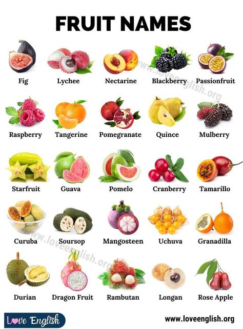 Puzzle Kindergarten, Fruit Photography Ideas, Fruits Name In English, Types Of Fruits, Fruit Cake Recipes, Vine Fruit, Saskatoon Berry, Types Of Berries, Seed Dispersal