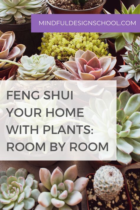 Feng Shui Bedroom Plants, Feng Shui Plants Houseplant, Feng Shui Plants Front Doors, Feng Shui Relationship Corner, Feng Shui Candles, Feng Shui Landscape, Zen Things, Feng Shui Money Frog, Feng Shui Front Door