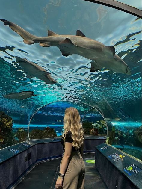 Toronto Zoo Canada, Toronto Picture Ideas, Aquarium Pose Ideas, Aquarium Pictures Ideas, Aquarium Photo Ideas, Aquarium Instagram Pictures, Aquarium Poses, Vacation Photo Ideas Instagram, Aquarium Outfit Ideas