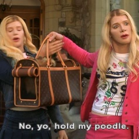 Hold my poodle - White Chicks White Chicks Quotes, White Chicks Movie, Chick Quotes, White Chicks, Movie Quotes Funny, Morning Humor, Funny Movies, What’s Going On, Bones Funny