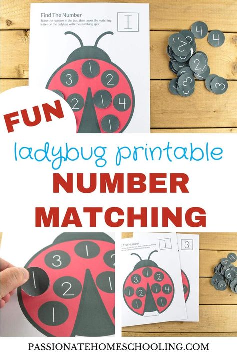 My kids love this fun ladybug number matching activity! This is such an easy way to practice counting, writing, fine motor skills all at the same time. Grab the free printable for your preschool and kindergarten math. #preschool #numbermatching #preschoolactvities #homeschooling The Very Lazy Ladybug Activities, Grouchy Ladybug Activities, Preschool Gardening, Ladybugs Preschool, Cute Hands, Nanny Activities, Grouchy Ladybug, Math Preschool, Number Learning