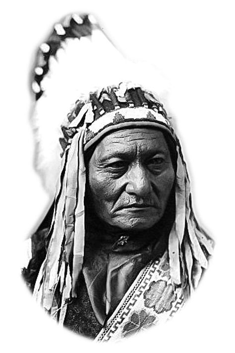 Sitting Bull Tattoo, Native Portrait, Chief Sitting Bull, Bull Tattoo, Native Tattoos, American Flag Wallpaper, Bull Tattoos, Sitting Bull, Native American Images