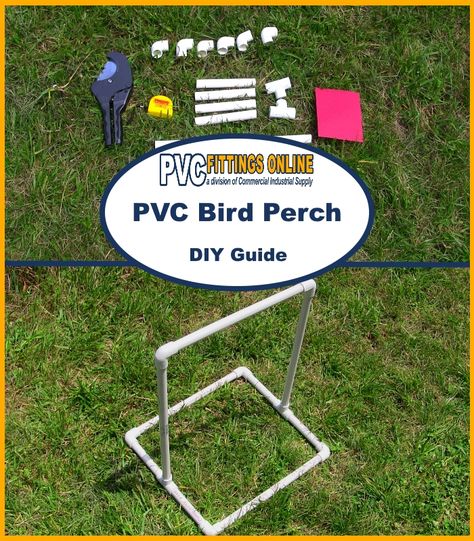 Pvc Bird Play Gym Diy, Pvc Bird Stand, Diy Bird Perch Stand, Diy Bird Perch, Pet Feeder Diy, Trinket Ideas, Best Conversation Topics, Bird Play Gym, Homemade Bird Toys