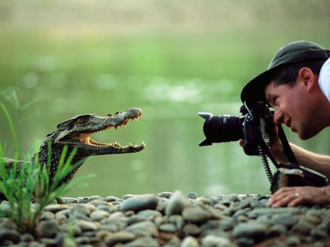 Nature Photographer Joel Sartore, National Geographic Photographers, Photography Career, Freelance Jobs, Photography Jobs, National Geographic Magazine, Animal Species, National Geographic Photos, Nature Photographs