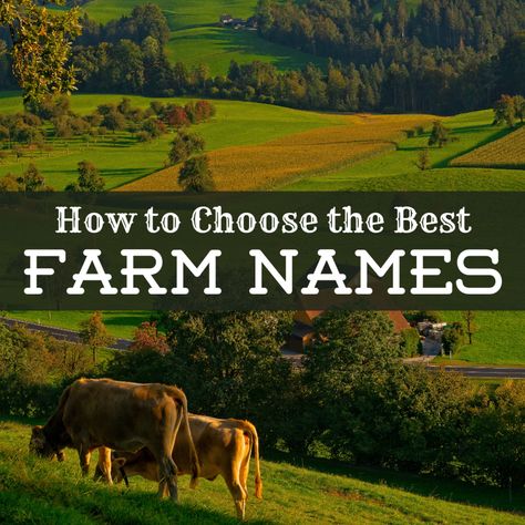 Naming Your Farm, Farm Set Up, Fun Farm Ideas, Farm Names Unique, Homestead Names Ideas, Farmhouse Names, Ranch Names Ideas, Homestead Names, Farm Yard Landscaping