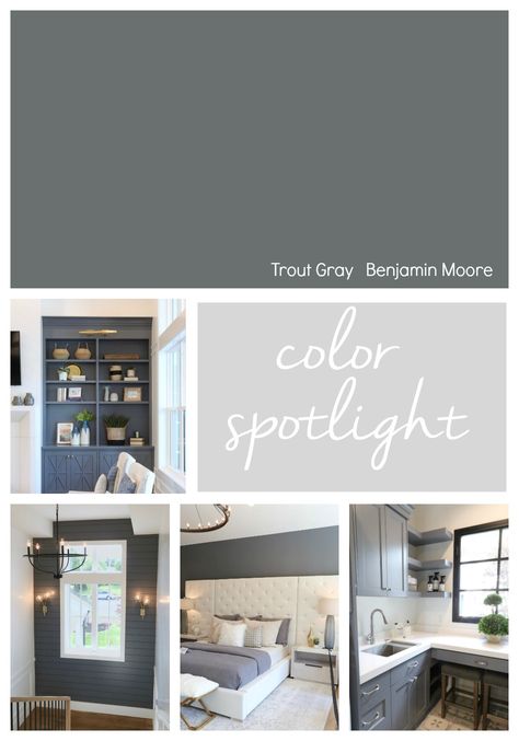 Benjamin Moore Trout Gray Color Spotlight. #paintcolor #gray #benjaminmoore Benjamin Moore Trout Gray, Bathroom Remodel Spa, Wrought Iron Benjamin Moore, Gray Garage Door, Gray Garage, Color Spotlight, Interior Paint Colors Schemes, French Country Bathroom, Benjamin Moore Colors