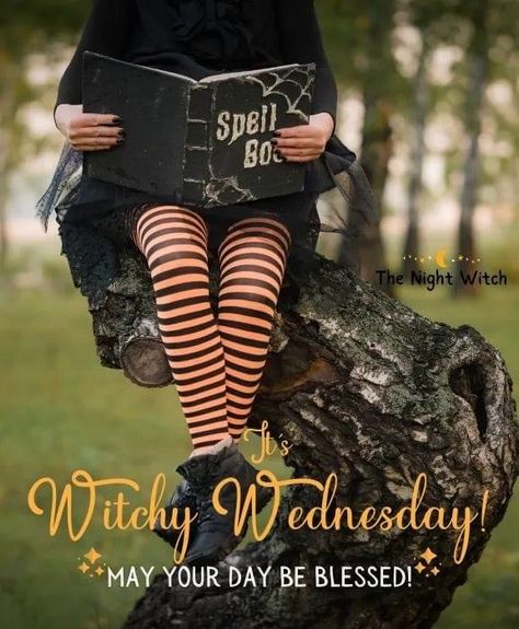 Wednesday Magick, Wednesday Greetings, Every Witch Way, Happy Halloween Pictures, Night Witches, Autumn Witch, Witch Pictures, Halloween Week, Witch Quotes