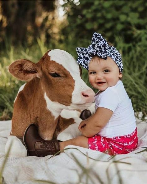 Cow Photography, First Birthday Photography, Cow Photos, Horse Birthday Parties, 1st Birthday Pictures, 1st Birthday Photoshoot, First Birthday Pictures, Twin First Birthday