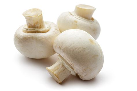 White Button Mushroom Grower & Supplier | South Mill Champs Growing Mushrooms At Home, White Button Mushrooms, Mushroom Varieties, Ripe Plantain, Crimini Mushrooms, Maitake Mushroom, Button Mushroom, Food Resources, Scotch Bonnet Pepper