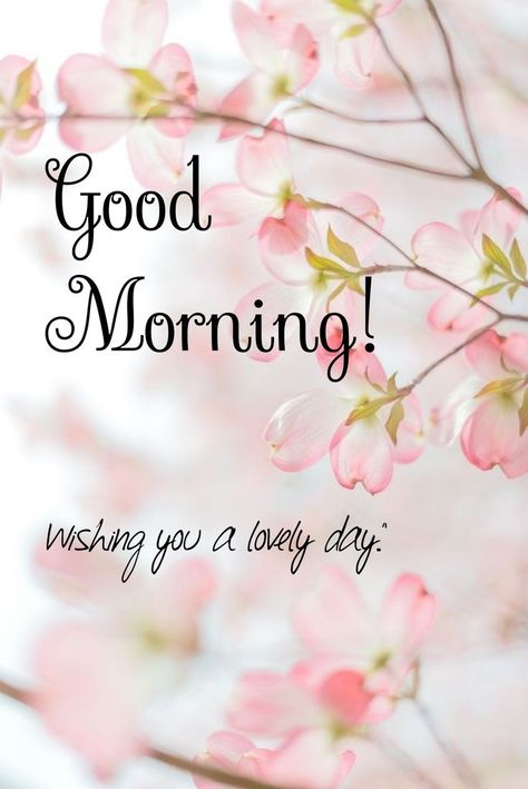 Cute Good Morning Pictures, Fm Products, Hello Quotes, Evening Wishes, Good Morning Greeting Cards, Good Morning Sweetheart Quotes, Cute Good Morning Images, Finally Friday, Good Morning Flowers Quotes