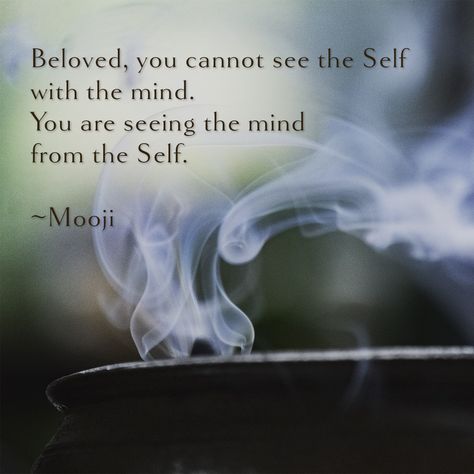 Mooji Quotes, Awareness Quotes, Shopping Quotes, Quote Of The Week, Words Worth, Mind You, Philosophy Quotes, One Liner, Powerful Quotes