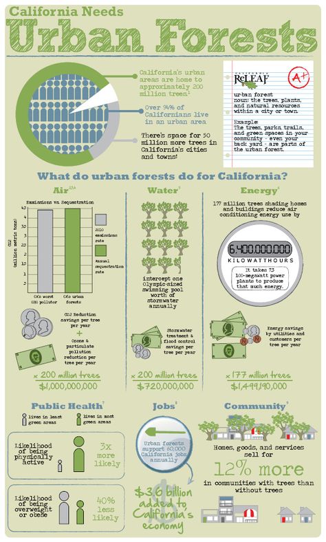 Trees Infographic, Green Infographic, Data Representation, Urban Forestry, Focus Studying, Summer Homeschool, Urban Heat Island, Urban Design Concept, Urban Tree