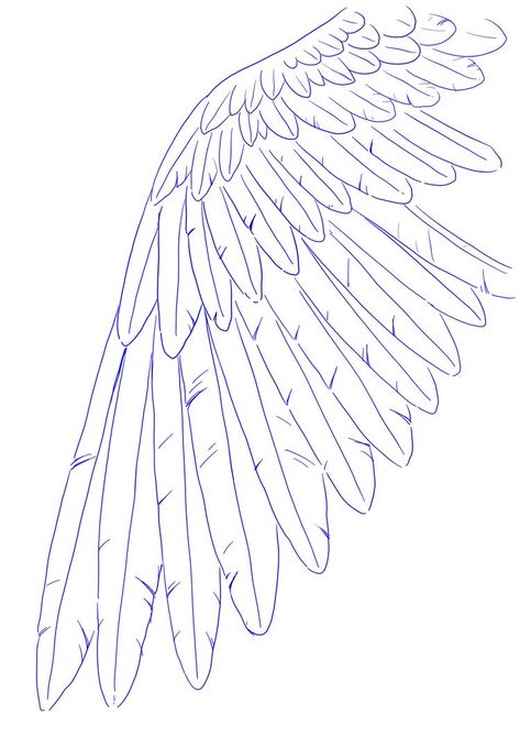 Vulture Wings Drawing, Wing Stencil, Alas Tattoo, Fairy Wings Costume, Floral Back Tattoos, Cosplay Wings, Cherub Tattoo, Feather Drawing, Diy Wings