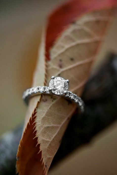 Engagement Ring Photography Creative, Ring Shoot Ideas, Aesthetic Engagement Ring Photos, Rings Product Photography, Autumn Jewelry Photography, Ring Pictures Ideas, Ring Photography Creative, Ring Photoshoot Ideas, Ring Product Photography