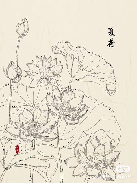 Hatch Drawing, Art Deco Design Graphics, Lilies Drawing, Buddhist Art Drawing, Traditional Chinese Art, Botanical Floral Art, Flower Drawing Tutorials, Flower Drawing Design, Flower Art Drawing