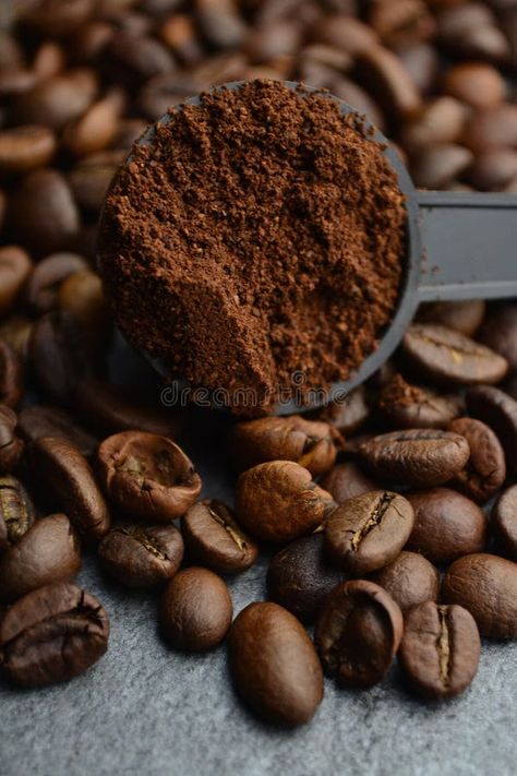 Roasted ready-made beans and ground coffee lie on a gray table stock photography Drink Breakfast, Breakfast Beans, Gray Table, Grey Table, Ground Coffee, Coffee Grounds, Gray Background, Ready Made, Vector Logo