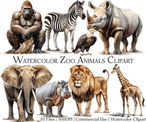 Zoo Animals Art, Rhino Clipart, Hippo Clipart, Zoo Clipart, Safari Scrapbook, Monkey Clipart, Eagle Clipart, Tiger Clipart, Panda Clipart