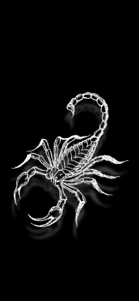 Scorpion Aesthetic, Scorpion Wallpaper, Black Scorpio, Dragon Magic, Blood Dragon, Blood Magic, Scorpion King, Horror Fanatic, Background Wallpaper For Photoshop