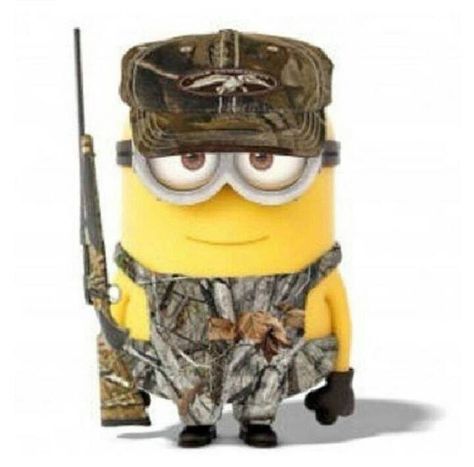 Duck Dynasty hunting camo Minion minions despicable me 3 Minions, Minion Pictures, Duck Commander, Minions Love, Hunting Girls, Minions Despicable Me, Hunting Camo, Miss Piggy, Duck Dynasty