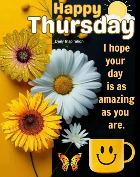 Thursday Quotes Good Morning, Happy Thursday Pictures, Thursday Morning Quotes, Happy Thursday Morning, Good Morning Thursday Images, Thursday Greetings, Good Morning Happy Thursday, Happy Thursday Quotes, Good Morning Thursday