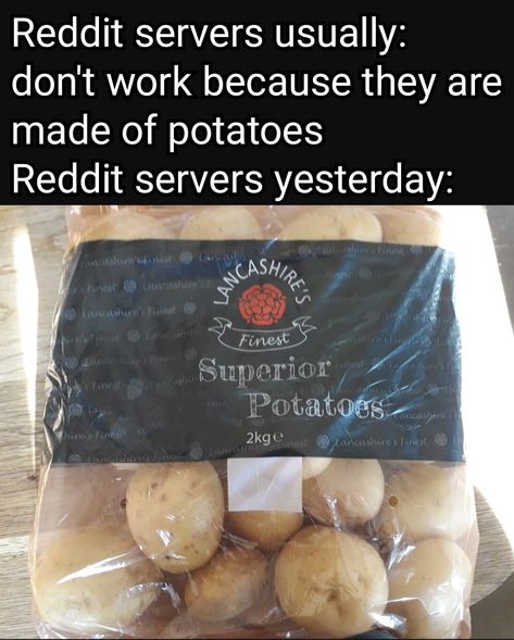 Superior potato performance Reward Yourself, Fresh Memes, We Meet Again, Have A Laugh, Inspirational Images, Feeling Loved, Be A Better Person, Super Funny, News Blog