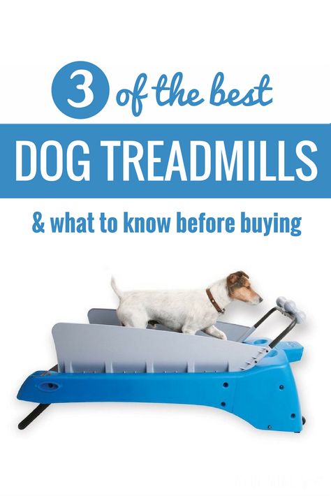 Dog Treadmills, Dog Treadmill, Treadmill Workouts, Keeping Healthy, Buying Guide, Treadmill, Product Reviews, The 3, Best Dogs